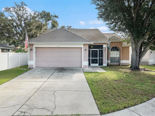 4704 Stove Pl, Valrico, FL 33596