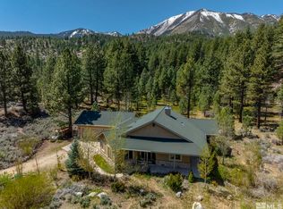 105 Old Mill Pl, Washoe Valley, NV