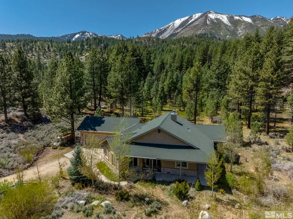 105 Old Mill Pl, Washoe Valley, NV 89704