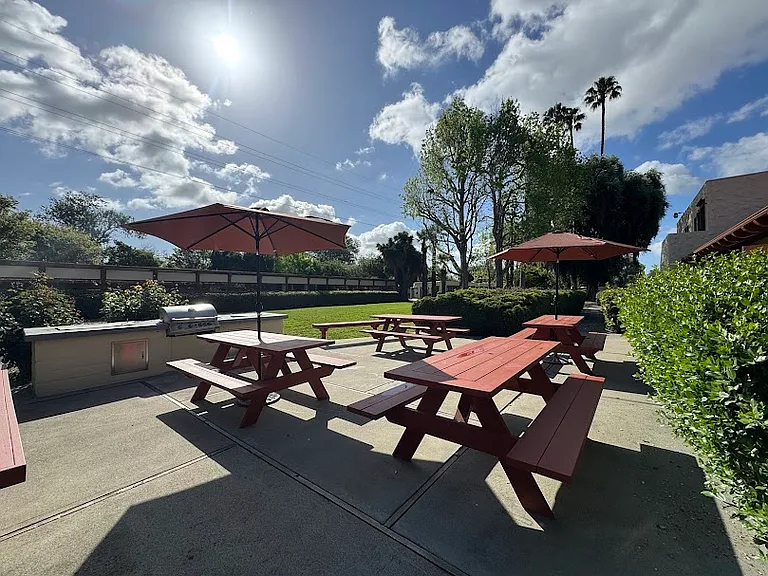 BBQ Area