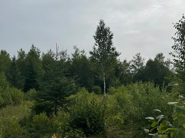 234 Wilcox Road, Trescott Twp, ME 04652