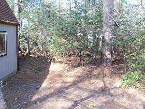 Back yard