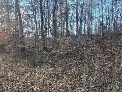 LOT 15 River Rd, Decatur, TN, 37322