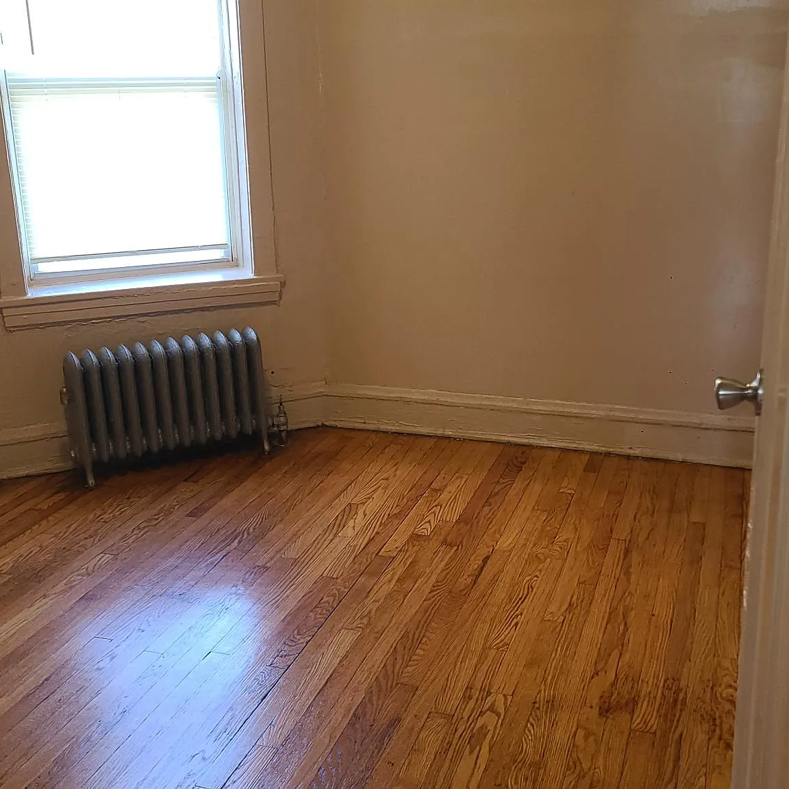 1 bed, 1100 sqft, $1,100 — Photo 3