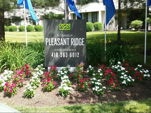 5 Pleasant Ridge Dr — Photo 19