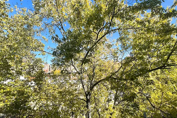 Rented by Corcoran | media 17