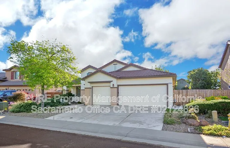 1732 Bamboo St — Photo 32