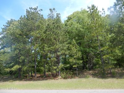 0 Old Gordon Rd, Dry Branch, GA, 31020