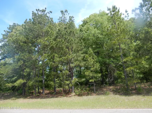 0 Old Gordon Rd, Dry Branch, GA 31020