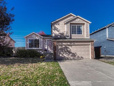 1183 Parsons Avenue, Castle Rock, CO, 80104