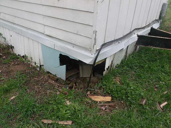 3rd image of 1004 Elmwood Dr