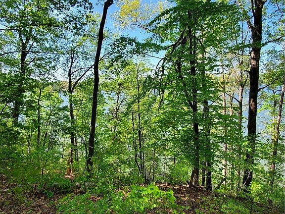 4th image of Lot 6 Horseshoe Bend