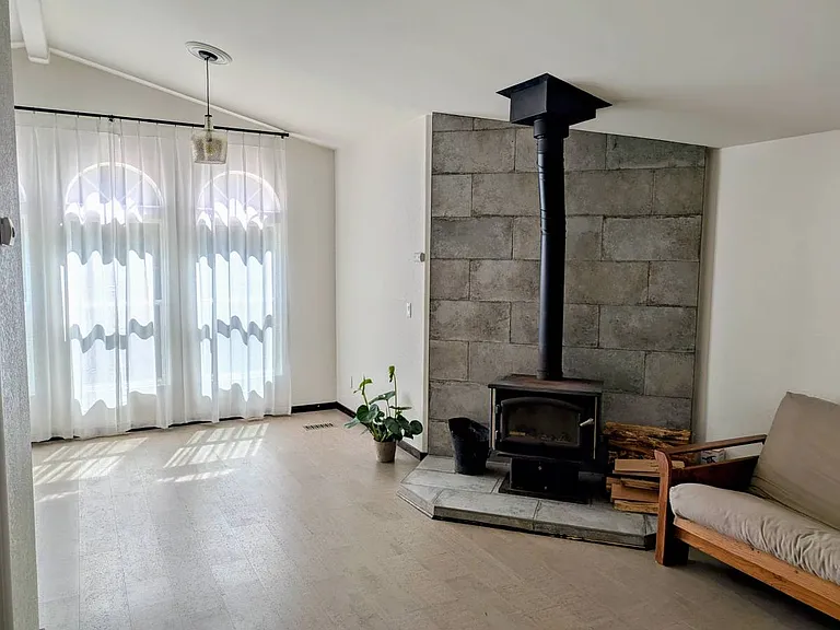 wood burning stove