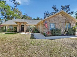 230 White Dove Ave, Orange City, FL 32763