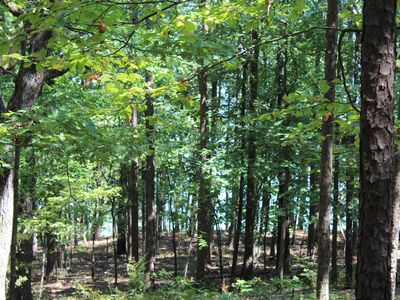 14 Lake Point Dr, Quitman, AR, 72131