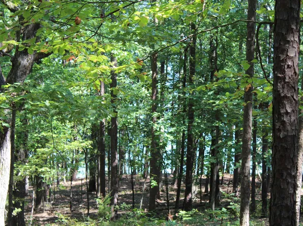 14 Lake Point Dr, Quitman, AR 72131