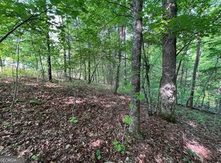 9 Acre Leonard Ln, Murphy, NC 28906