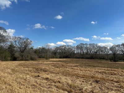 0 Hurricane Creek Rd, Lumberton, MS, 39455