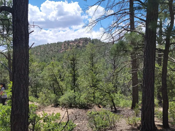 0 Pinon Ridge Rd, Pecos, NM 87552