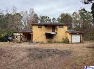 4629 S Williamsburg County Hwy, Salters, SC 29590