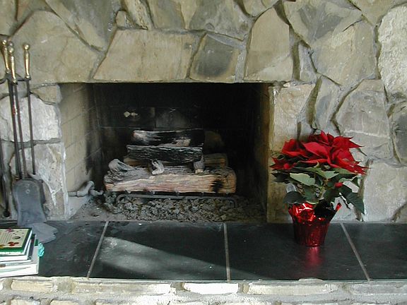 FIREPLACE IN LIVING ROOM