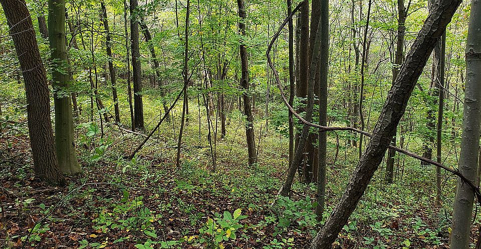 1st image of 28220 Logan Hornsmill Rd