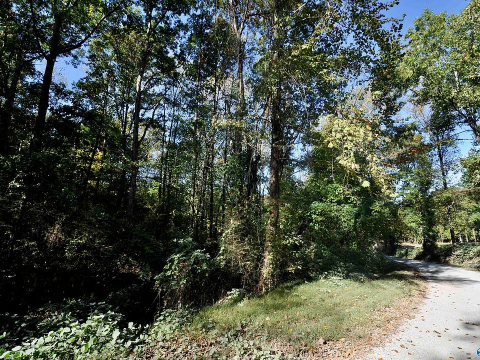 1st image of LOT County Road 1389