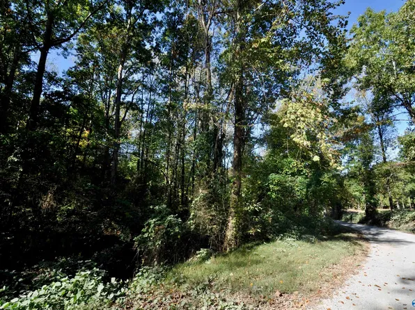 LOT County Road 1389, Vinemont, AL 35179
