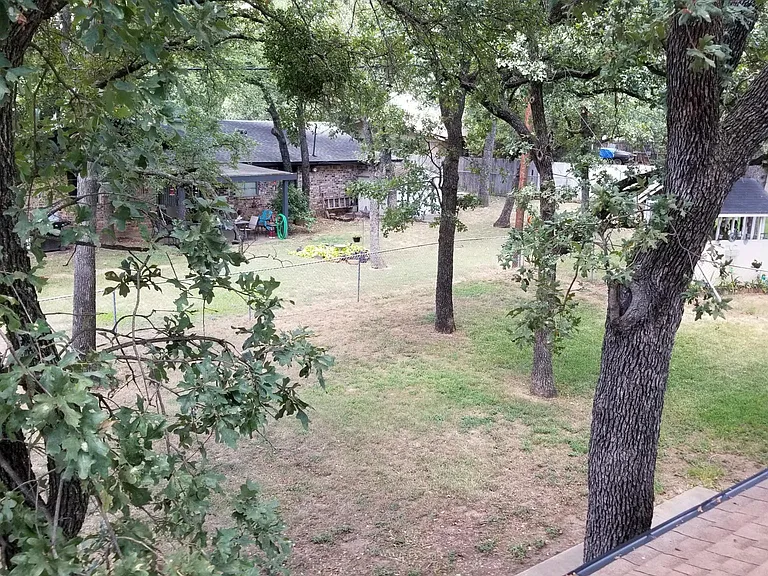 Back yard