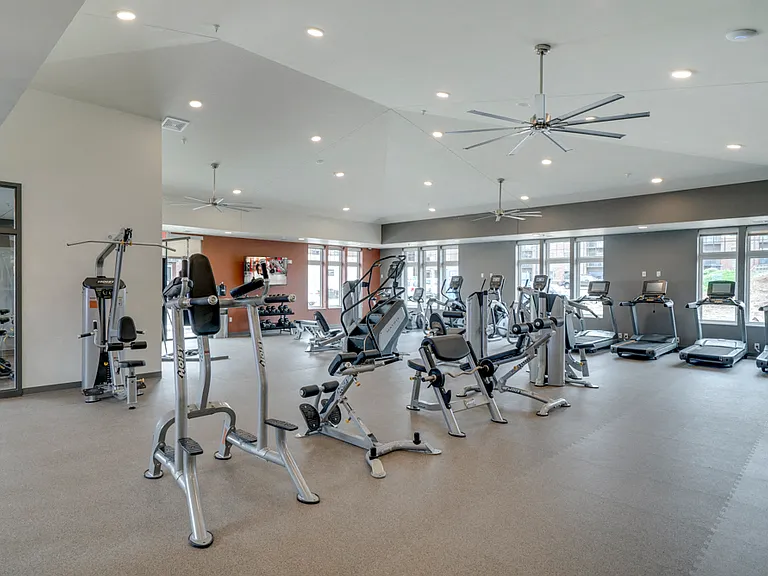 There's no need for a gym membership with a gym like this.
