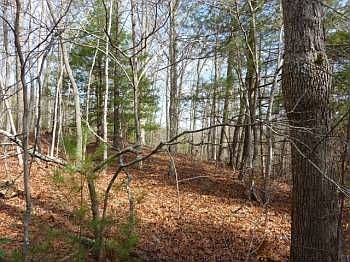 4th image of 5976 Joe Brown Hwy