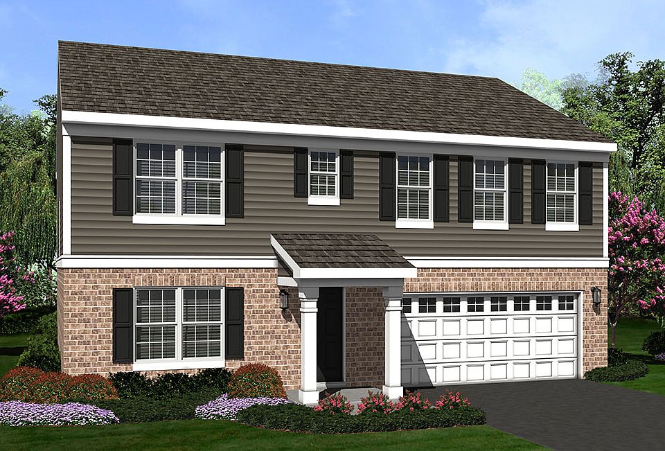 Elevation Image 1.