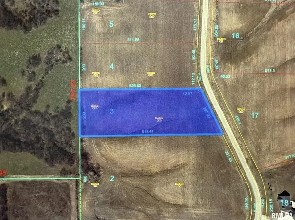 2320 Olof Krans Ave, Galva, IL 61434