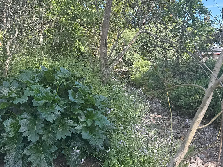 7622 Sonoma Hwy #5 — Photo 12