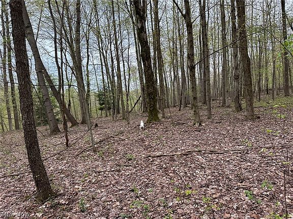 2nd image of Stanhope Kelloggsville Rd
