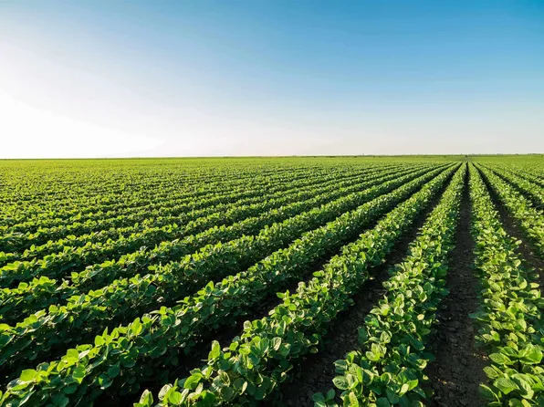 0 Alex Brown Rd, Tucker, AR 72168