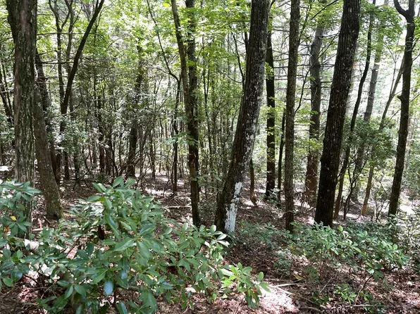 LOT 34 Fodder Creek Mill Dr, Hiawassee, GA 30546