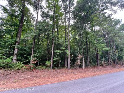 3160 Holley Mill Rd, Eclectic, AL, 36024