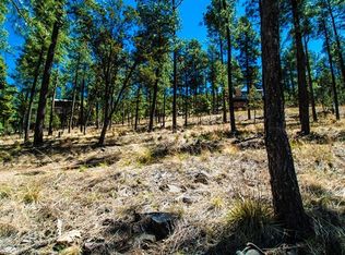 103 Snowcap Dr, Ruidoso, NM 88345