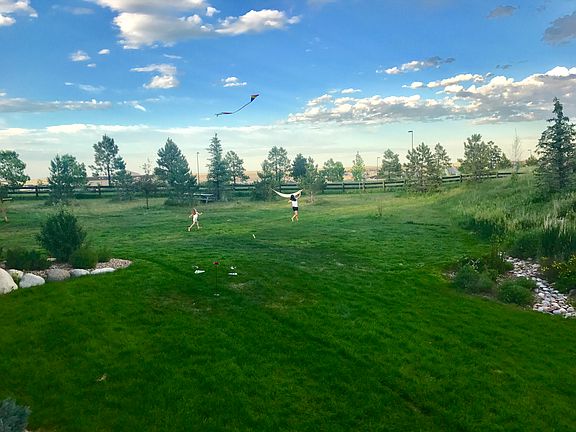 Giant Landscaped Yard