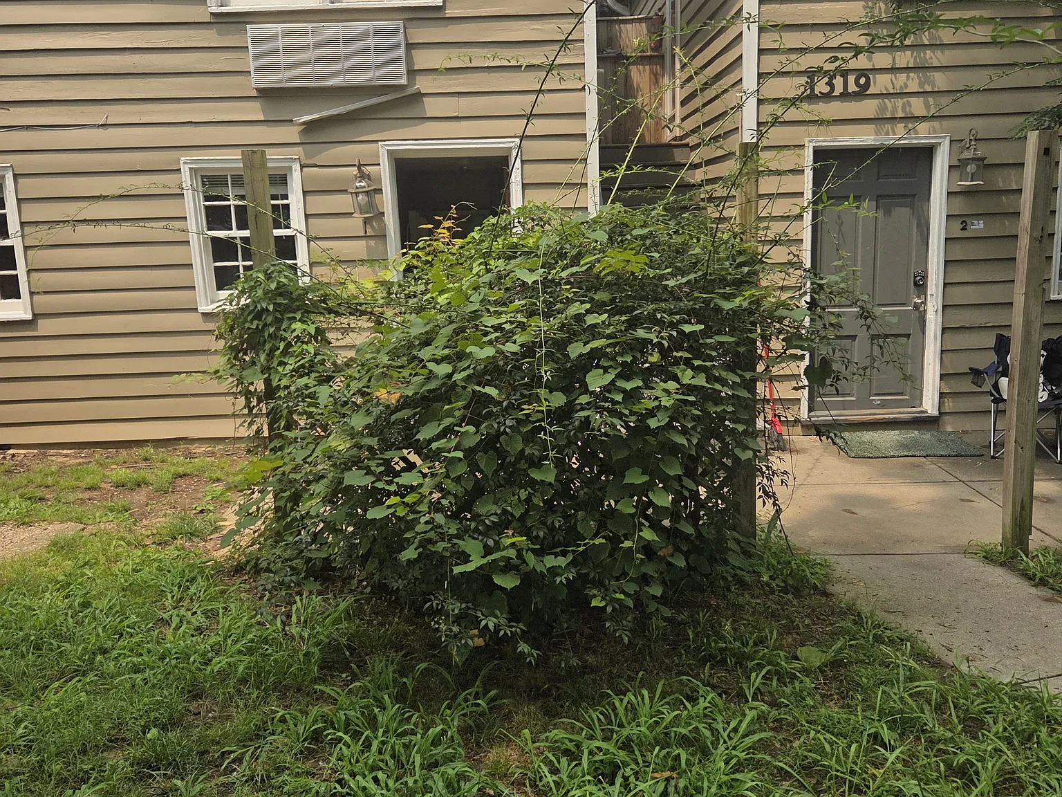 1319 Dale St — Photo 1