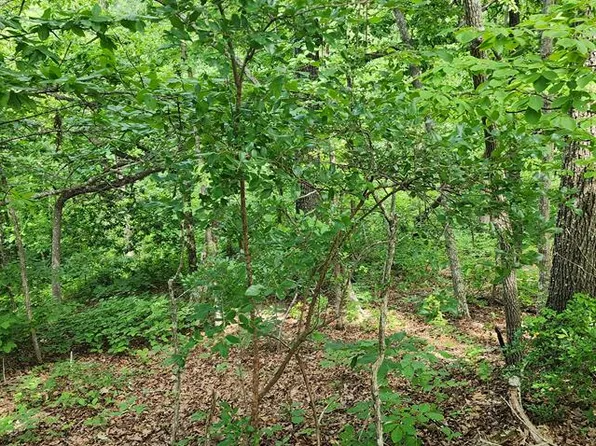 Id19 Lakeview Trl, Holladay, TN 38341