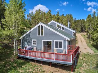 80 Alpine Dr, Nederland, CO 80466