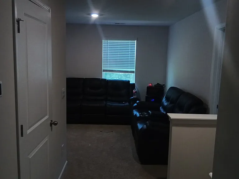 271 Lilys Pl — Photo 14