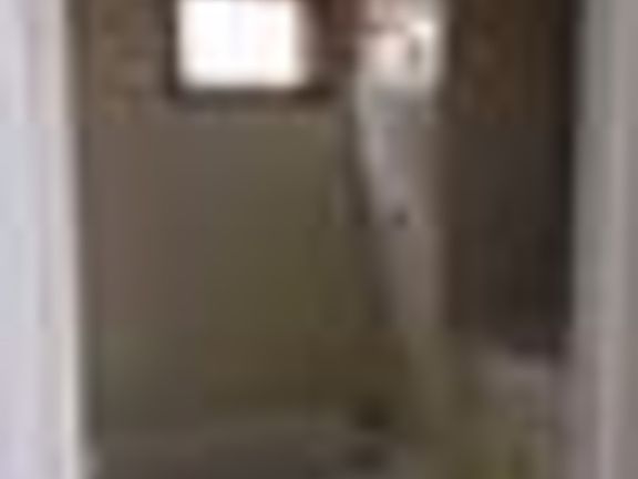 4th image of 453 Berkshire Ave