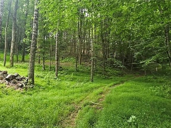 5th image of TBD Beech Nut Drive