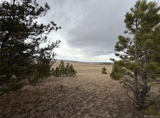 990 Coyotero Trail LOT 5776, 5777, Hartsel, CO 80449