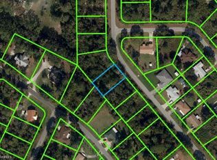 1550 Buck St, Lake Placid, FL 33852