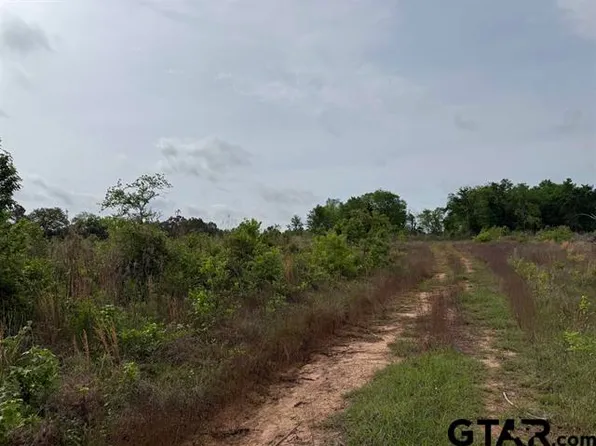 County Road 347, Henderson, TX 75654