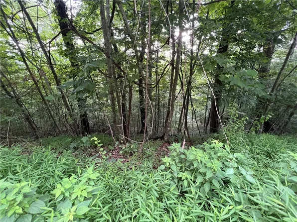 TBD River Stone Drive, Laurel Springs, NC 28644